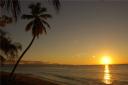 Paysages